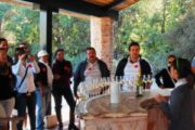 Chile Wine Tours